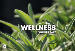 wellness.png